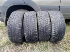 GT Radial Champiro WinterPro. ������, ��� �����, 2017 ���, �/�, ����� 50�%