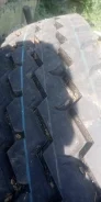 Transtone. �����������, 2016 ���, ����� ����