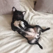 ����. ����