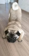 ����. ����