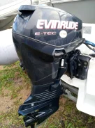 Evinrude. 50��.�., 2-�������, ����������, ���� L (508 ��), 2013 ��� ����