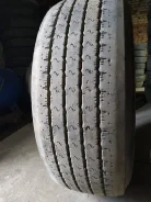 TyRex. �����������, 2017 ���, �/�, ����� 10 % ����