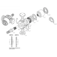 Kawasaki ����