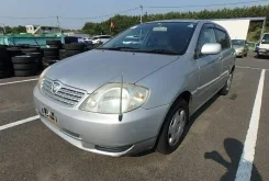 Toyota Allex ����