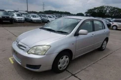 Toyota Allex ����