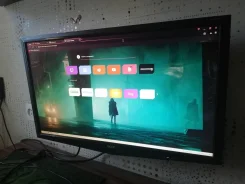 Acer. 24"