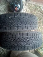 Bridgestone Winter Radial WT-17. ������, ����������, 2018 ���, �/�, ����� 20�%