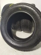 Semperit Speed-Grip 2. ������, ��� �����, �/�, ����� 10�%
