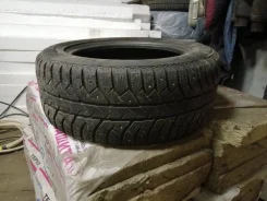Blackstone Alaska. ������, ����������, �/�, ����� 50�%
