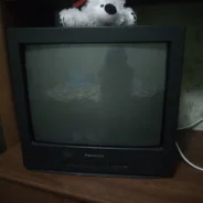 Panasonic