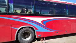 Kia Granbird, 1999 в Анапе Kia Granbird. Kia Grandbiard, 45 мест