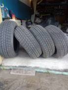 Tigar Winter A. ,  , 2015 , /,  20%