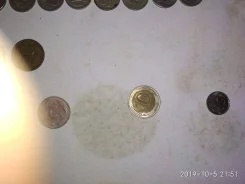 ������ ����