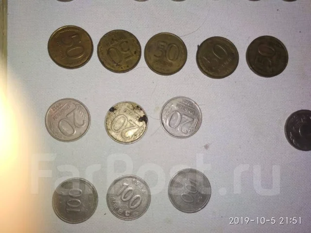 ������ ����