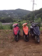 Honda Dio AF27 ����
