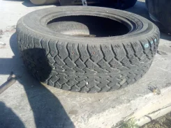 Tunga Master. ������, ����������, �/�, ����� 10�% ����