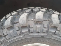 ��������� Forward Safari 500. �����������, 2018 ���, �/�, ����� 5 % ����