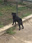 ����. ����