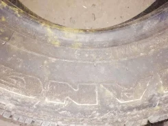 Triangle TR919. ������, 2010 ���, �/�, ����� 80�% ����
