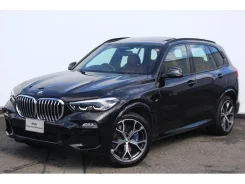 BMW X5. �������, 4wd, 3.0 (249��.�.), ������, 6 000����. ��, �/�. ��� ����� �� ������������ ����