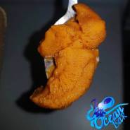 Икра Морского Ежа в Находке Морской еж.