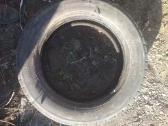 Bridgestone R202. �����������, �/�, ����� 60�%