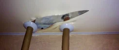 ������ �������� ��������. ����