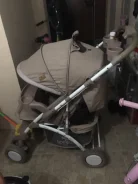 �������. ����