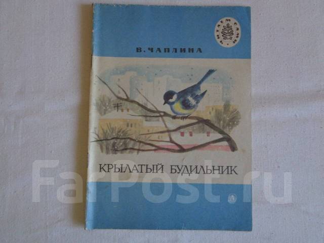 Крылатый будильник план текста