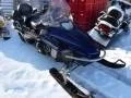 Yamaha Viking Professional ����