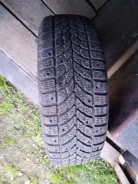 Bridgestone Winter Radial WT-17. ������, ����������, �/�, ����� 50�%
