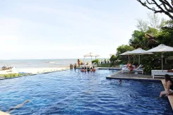 �������. ������. ������� �����. ������! ���������� ����� �� ������ ���� CHEZ Carole Beach Resort! ����