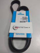 Ремень приводной Dayco 6PK1195 в Екатеринбурге Ремень. Hyundai Grandeur, XG Hyundai XG Hyundai Santa Fe Fiat Punto Renault: Kangoo, Clio, Pulse, Megane, Modus, Logan, Duster, Dokker, Scenic, Latitu...