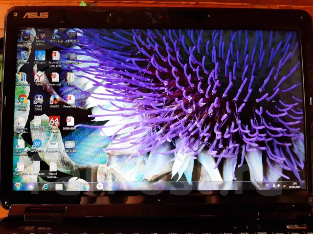 Asus K50IP. 15.6", 2,3����, ��� 2048 ��, ���� 250���, WiFi: 1, Bluetooth: 1, ����������� �� 2��. ����