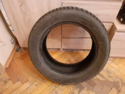 Roadstone Winguard Ice. ������, ����������, 2018 ���, �/�, ����� 5 % ����