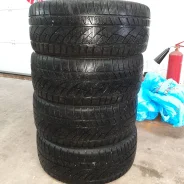 Effiplus Akiliz II. �����������, 2010 ���, �/�, ����� 40�%