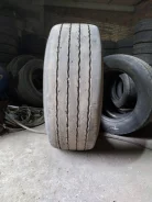 TyRex. �����������, 2017 ���, �/�, ����� 10 % ����