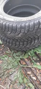 Cordiant AWD. ������, ����������, 2015 ���, �/�, ����� 30�% ����