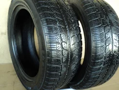 Fortuna Winter. ������, ��� �����, 2018 ���, �/�, ����� 60�%