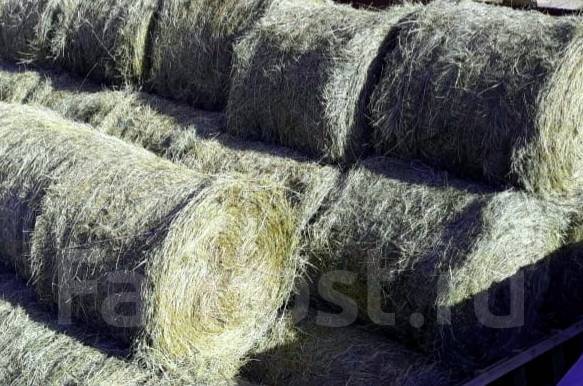 Сено в больших рулонах. Покос июль 2023г, собак, кроликов, птиц ...