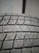 Bridgestone ST20. �����������, �/�, ����� 50�% ����