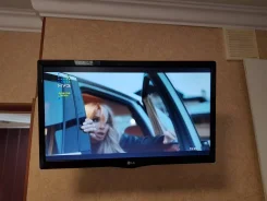 LG 20MT48VF. LED ����