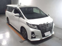 Toyota Alphard. �������, 4wd, 2.5, ������, 61 000����. ��. ��� ����� �� ������������ ����