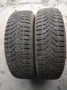 Bridgestone Winter Radial WT-17. ������, ����������, 2001 ���, �/�, ����� 10 % ����