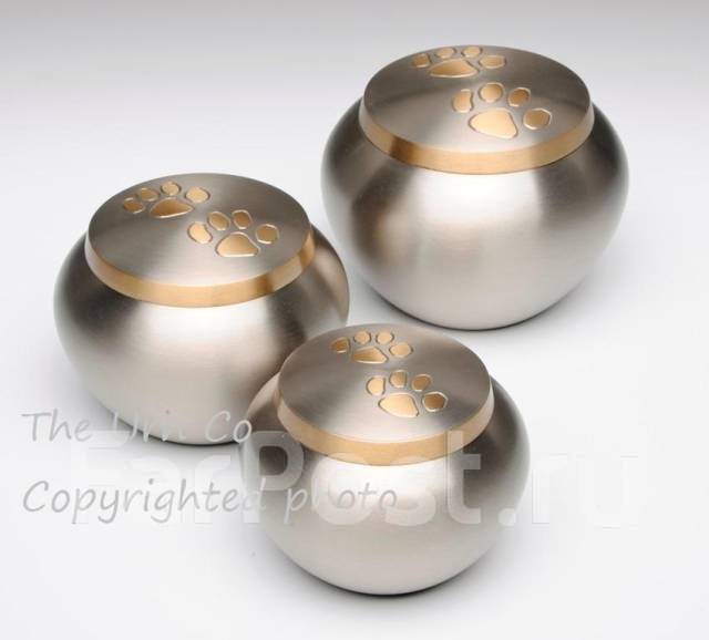 АНО Ковчег. Кремация животных. Круглосуточно 24/7. Усыпление - Животные ...