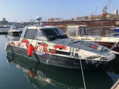 Nissan Suncat. 1997 ���, ����� 7,7��., ��������� ���������, 200��.�., ������ ����