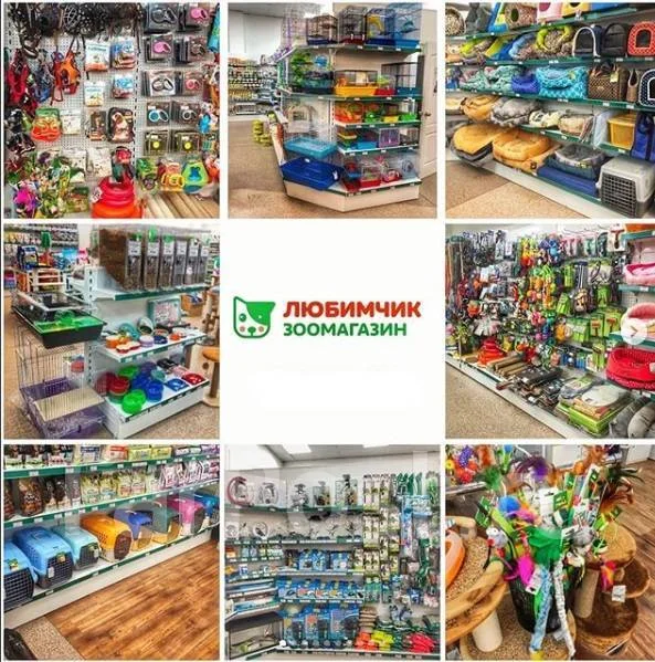Помощник Владивосток Официальный Сайт Магазин