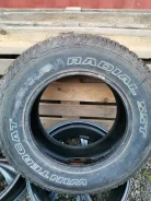 Dean Tires Wintercat. �����������, 2009 ���, ����� ����