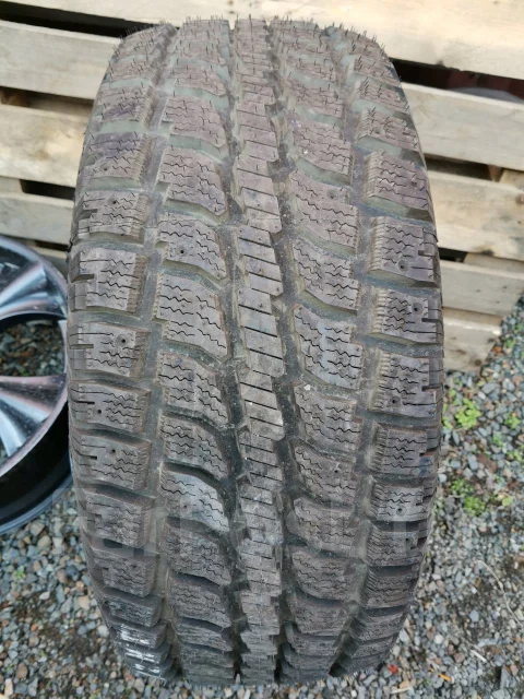 Dean Tires Wintercat. �����������, 2009 ���, ����� ����