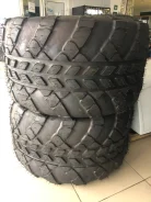 ������. �����������, 2020 ���, ����� ����
